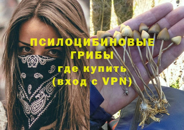 марки lsd Заводоуковск