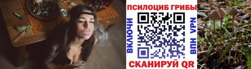 Купить закладки  Кимры  Псилоцибиновые грибы GOLDEN TEACHER 